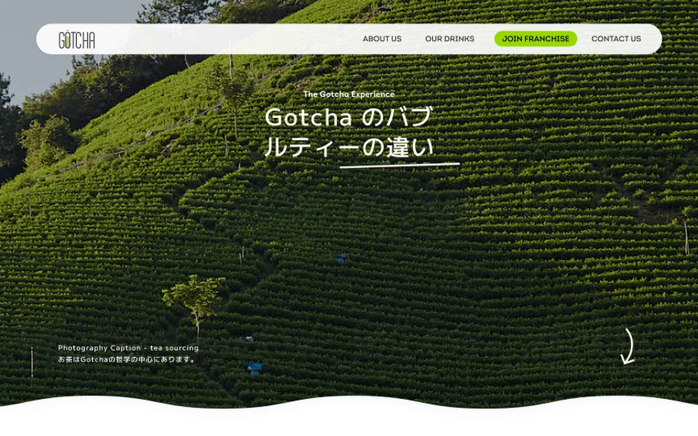 GOTCHA 日本官网 项目预览